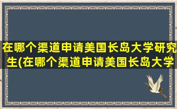 在哪个渠道申请美国长岛大学研究生(在哪个渠道申请美国长岛大学硕士)