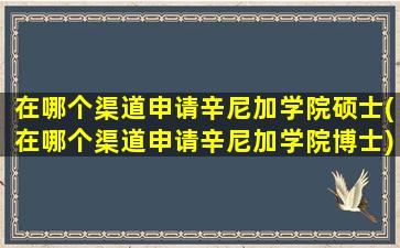 在哪个渠道申请辛尼加学院硕士(在哪个渠道申请辛尼加学院博士)