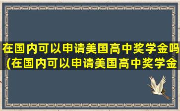 在国内可以申请美国高中奖学金吗(在国内可以申请美国高中奖学金吗英语)