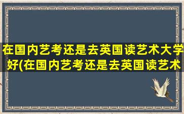 在国内艺考还是去英国读艺术大学好(在国内艺考还是去英国读艺术类好)