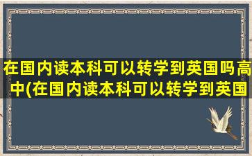 在国内读本科可以转学到英国吗高中(在国内读本科可以转学到英国吗)