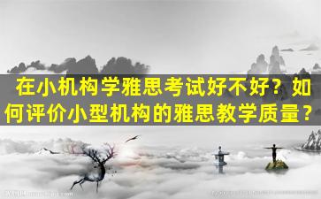 在小机构学雅思考试好不好？如何评价小型机构的雅思教学质量？