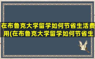 在布鲁克大学留学如何节省生活费用(在布鲁克大学留学如何节省生活费和学费)