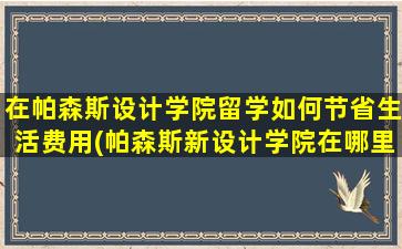 在帕森斯设计学院留学如何节省生活费用(帕森斯新设计学院在哪里)