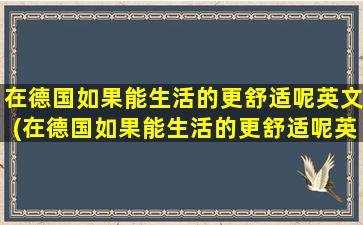 在德国如果能生活的更舒适呢英文(在德国如果能生活的更舒适呢英语翻译)