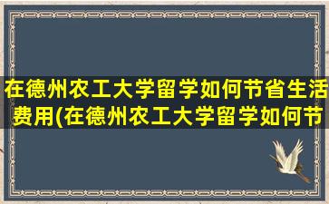 在德州农工大学留学如何节省生活费用(在德州农工大学留学如何节省生活费和学费)