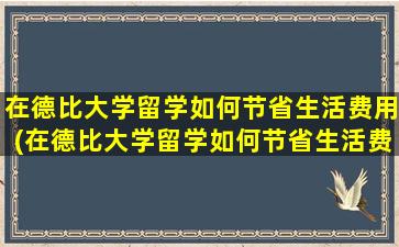 在德比大学留学如何节省生活费用(在德比大学留学如何节省生活费和学费)