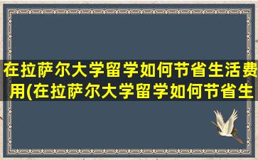 在拉萨尔大学留学如何节省生活费用(在拉萨尔大学留学如何节省生活费和学费)