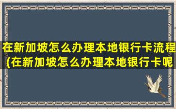 在新加坡怎么办理本地银行卡流程(在新加坡怎么办理本地银行卡呢)