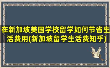 在新加坡美国学校留学如何节省生活费用(新加坡留学生活费知乎)