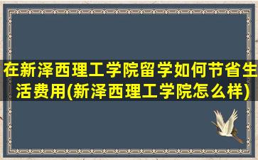 在新泽西理工学院留学如何节省生活费用(新泽西理工学院怎么样)