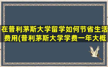 在普利茅斯大学留学如何节省生活费用(普利茅斯大学学费一年大概需要多少)