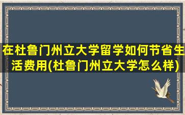 在杜鲁门州立大学留学如何节省生活费用(杜鲁门州立大学怎么样)