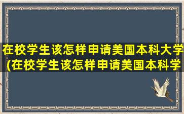 在校学生该怎样申请美国本科大学(在校学生该怎样申请美国本科学历)