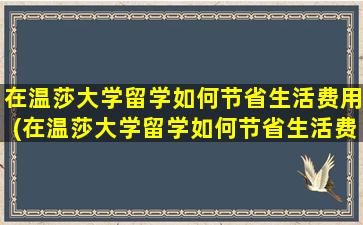 在温莎大学留学如何节省生活费用(在温莎大学留学如何节省生活费和学费)