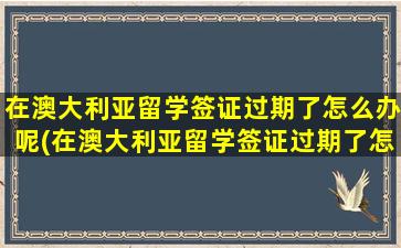 在澳大利亚留学签证过期了怎么办呢(在澳大利亚留学签证过期了怎么办手续)