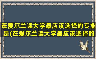 在爱尔兰读大学最应该选择的专业是(在爱尔兰读大学最应该选择的专业有哪些)