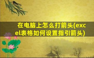 在电脑上怎么打箭头(excel表格如何设置指引箭头)