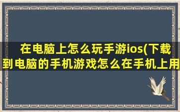 在电脑上怎么玩手游ios(下载到电脑的手机游戏怎么在手机上用)