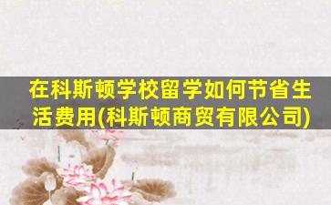 在科斯顿学校留学如何节省生活费用(科斯顿商贸有限公司)