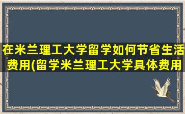 在米兰理工大学留学如何节省生活费用(留学米兰理工大学具体费用)