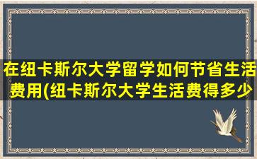 在纽卡斯尔大学留学如何节省生活费用(纽卡斯尔大学生活费得多少)