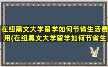 在纽黑文大学留学如何节省生活费用(在纽黑文大学留学如何节省生活费和学费)