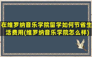 在维罗纳音乐学院留学如何节省生活费用(维罗纳音乐学院怎么样)