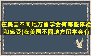 在美国不同地方留学会有哪些体验和感受(在美国不同地方留学会有哪些体验和收获)