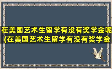 在美国艺术生留学有没有奖学金呢(在美国艺术生留学有没有奖学金呢英语)