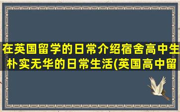 在英国留学的日常介绍宿舍高中生朴实无华的日常生活(英国高中留学费用要多少)