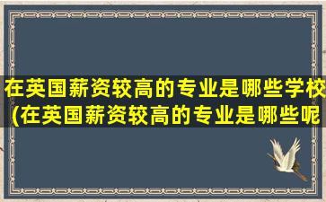 在英国薪资较高的专业是哪些学校(在英国薪资较高的专业是哪些呢)