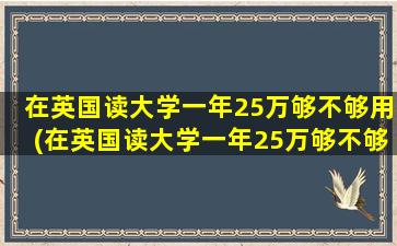 在英国读大学一年25万够不够用(在英国读大学一年25万够不够呢)