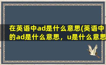 在英语中ad是什么意思(英语中的ad是什么意思，u是什么意思)