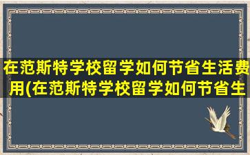 在范斯特学校留学如何节省生活费用(在范斯特学校留学如何节省生活费英语)