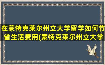 在蒙特克莱尔州立大学留学如何节省生活费用(蒙特克莱尔州立大学怎么样)