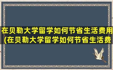 在贝勒大学留学如何节省生活费用(在贝勒大学留学如何节省生活费和学费)