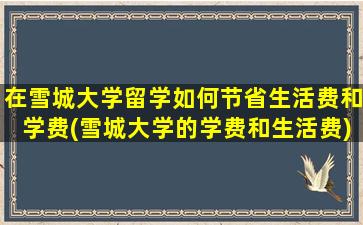 在雪城大学留学如何节省生活费和学费(雪城大学的学费和生活费)