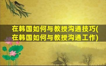 在韩国如何与教授沟通技巧(在韩国如何与教授沟通工作)