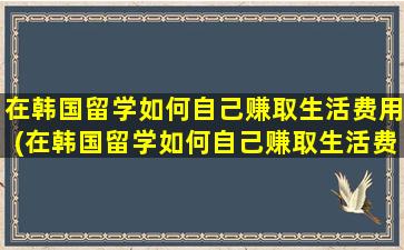 在韩国留学如何自己赚取生活费用(在韩国留学如何自己赚取生活费的钱)