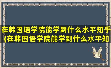 在韩国语学院能学到什么水平知乎(在韩国语学院能学到什么水平知识)