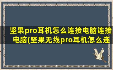 坚果pro耳机怎么连接电脑连接电脑(坚果无线pro耳机怎么连接)