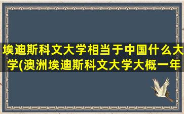 埃迪斯科文大学相当于中国什么大学(澳洲埃迪斯科文大学大概一年要多少人民币)