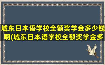 城东日本语学校全额奖学金多少钱啊(城东日本语学校全额奖学金多少钱啊)