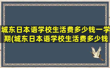 城东日本语学校生活费多少钱一学期(城东日本语学校生活费多少钱)