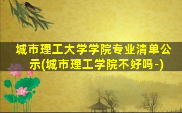 城市理工大学学院专业清单公示(城市理工学院不好吗-)