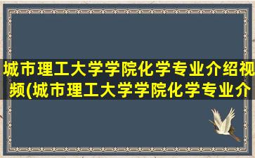 城市理工大学学院化学专业介绍视频(城市理工大学学院化学专业介绍书)