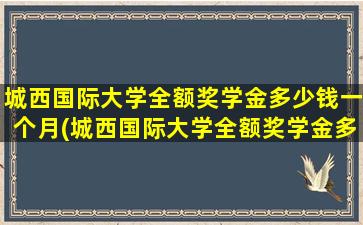 城西国际大学全额奖学金多少钱一个月(城西国际大学全额奖学金多少钱啊)