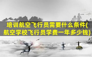 培训航空飞行员需要什么条件(航空学校飞行员学费一年多少钱)