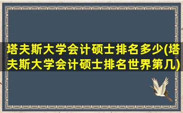 塔夫斯大学会计硕士排名多少(塔夫斯大学会计硕士排名世界第几)